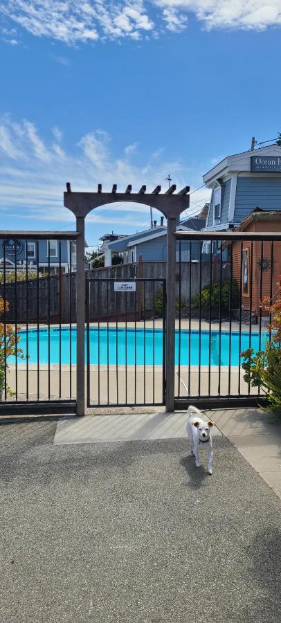 Sunny Cove Motel Capitola Esterno foto