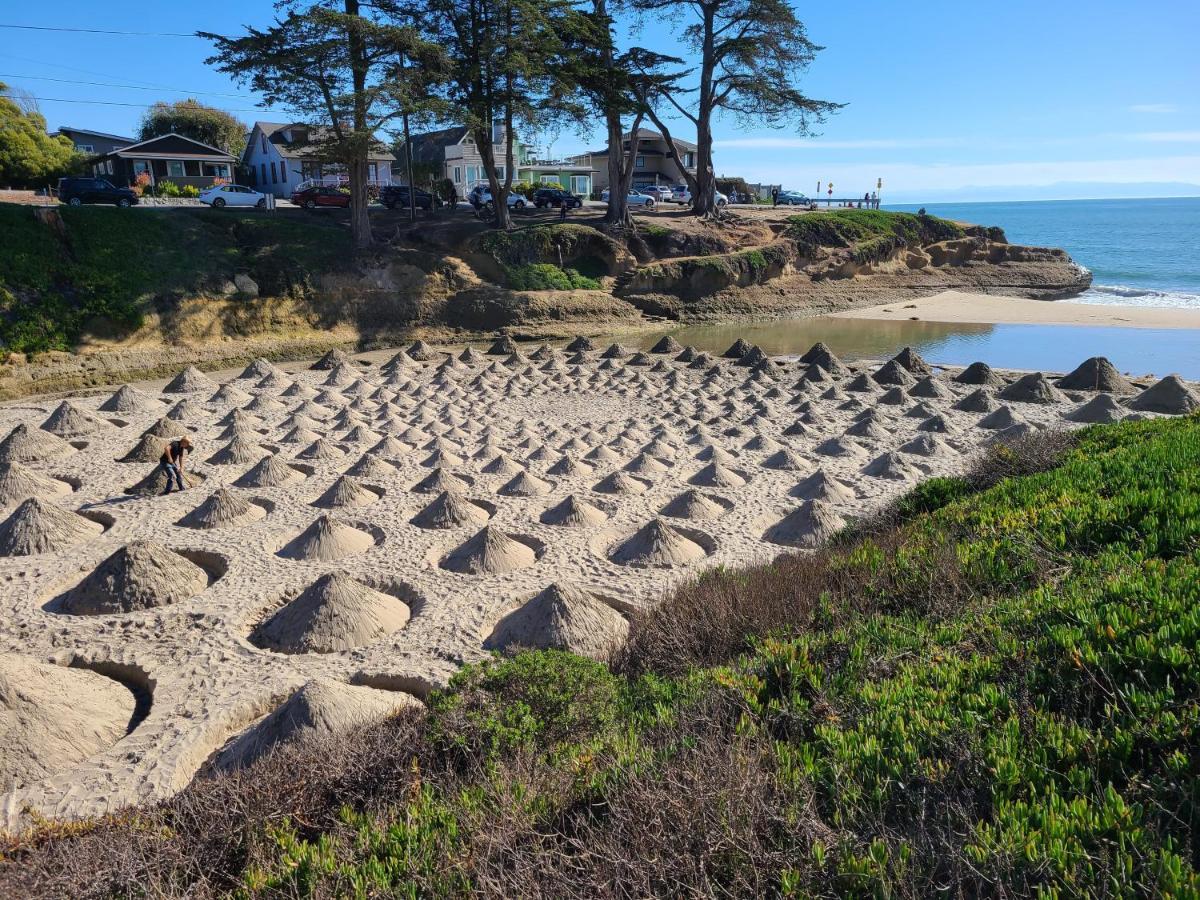Sunny Cove Motel Capitola Esterno foto