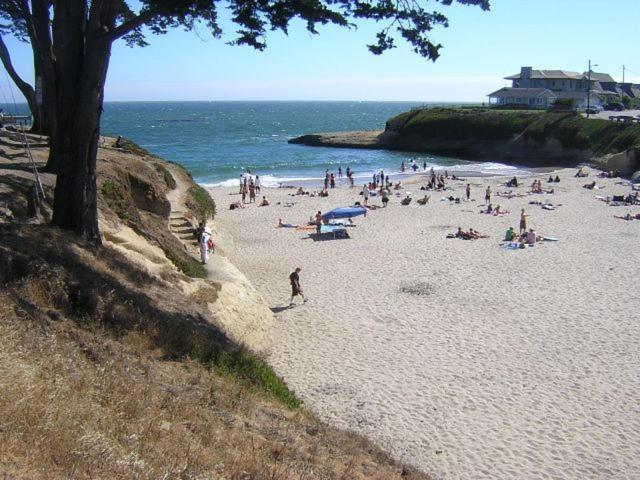 Sunny Cove Motel Capitola Esterno foto